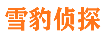 黄陂市私家侦探公司